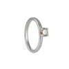 Anne Sportun - Champagne Diamond Four Prong Solitaire in 14k White