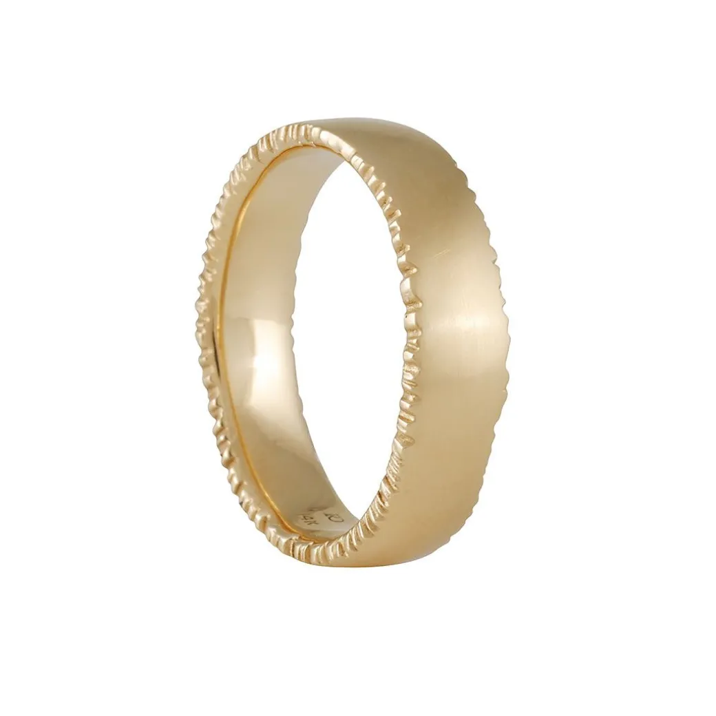 Rebecca Overmann - Rough Edge Band